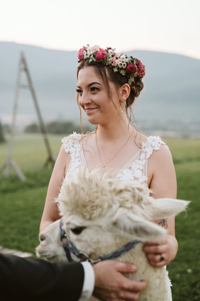 zdjęcie do portfolio